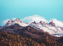 彩票-2020用一场德纳决收官？没有纳达尔，也没有德约